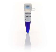 Colorante de carga de gel de ADN (6X) Thermo Scientific R0611