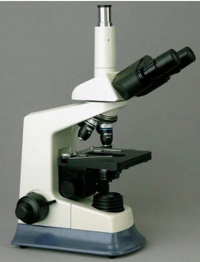 Microsc&oacute;pios Est&eacute;reo Amscope 20X-40X-80X Con C&aacute;mara USB - BIOWEB