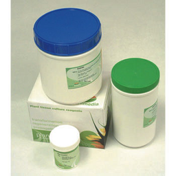 Agar Mueller Hinton de 500 g Bio-World 30620054-1