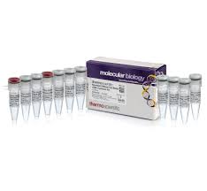 Kit de síntesis de ADNc de primera hebra RevertAid Thermo Scientific K1621