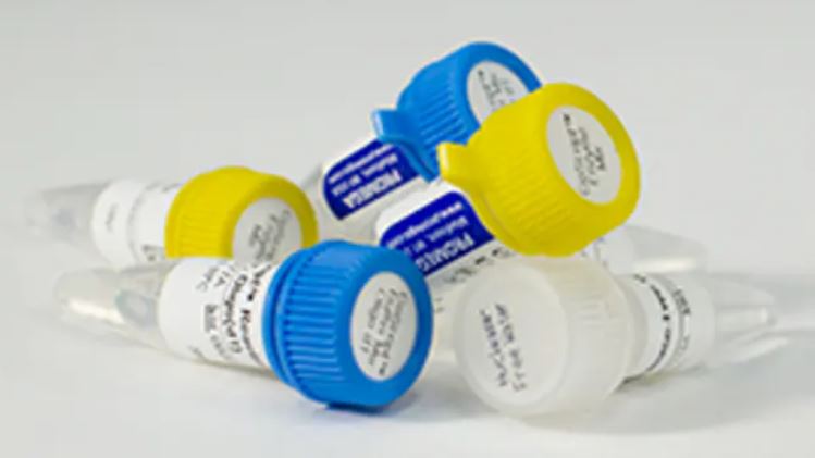 GoScript™ Reverse Transcription Mix, Oligo(dT) | Sitio Equipamiento ...