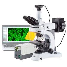 Microscopio compuesto trinocular de epifluorescencia